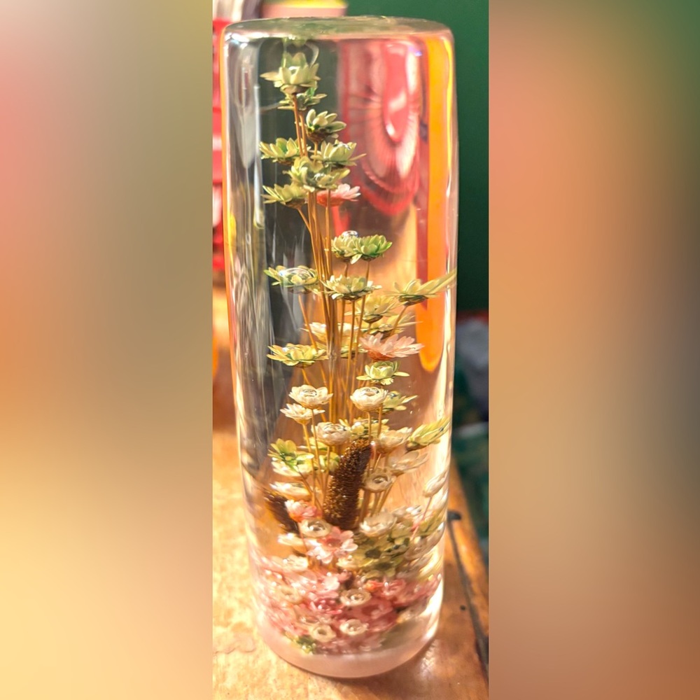 Handcrafted Daisyglas Co USA Vintage Mid Century Lucite Real Dried Flowers